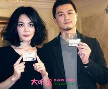 王菲历任老公资料介绍