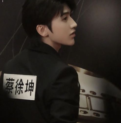 爱豆头像| 蔡徐坤