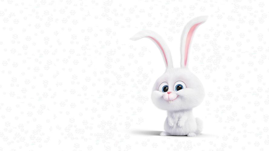 电脑壁纸 动漫卡通 卡通明星 可爱卡通兔子