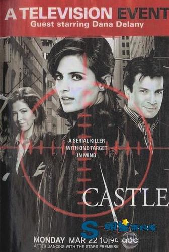 电视剧《灵书妙探第一季》【stana|katic|nathan】