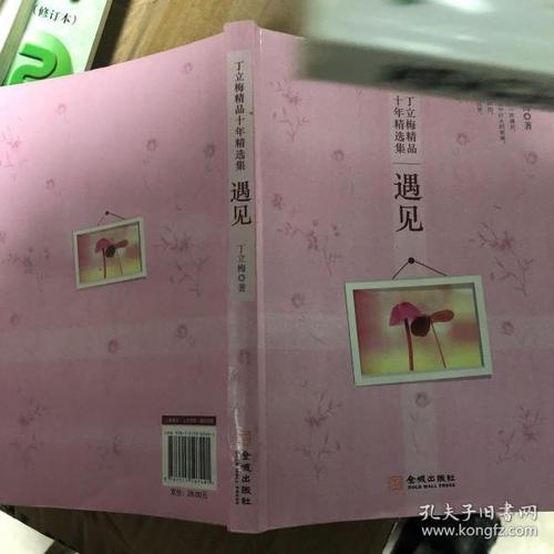 丁立梅作品十年精选集:遇见