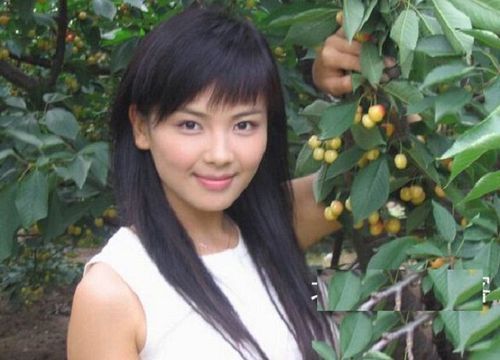 这几位女明星本想嫁个有钱人,却嫁给了假富豪,张