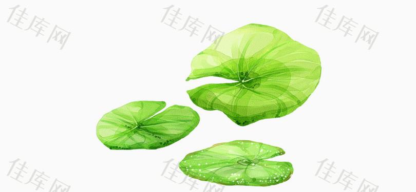 手绘荷叶素材