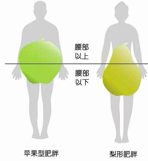 苹果型身材和梨型身材,对照看看你是哪一种?