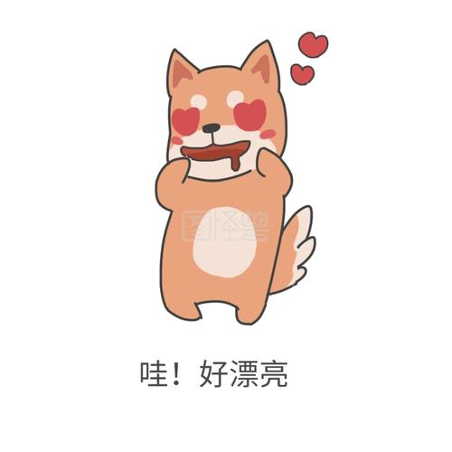 哇好漂亮时尚简约流行搞笑嘲讽表情包