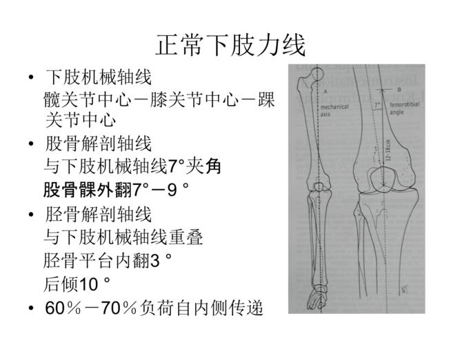 课件-全膝关节置换术力线.ppt 82页