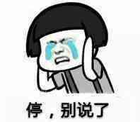 停,别说了