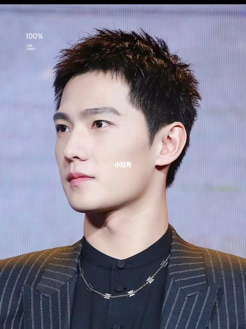 杨洋同款发型_发型_杨洋_emanny salon攻略_男士发型