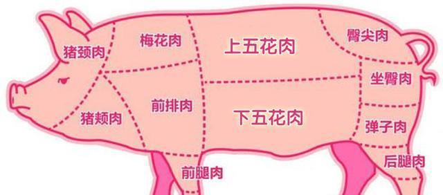 上五花肉指的是猪排骨附近的肉,比正常五花肉相比,肥膘多了些;下