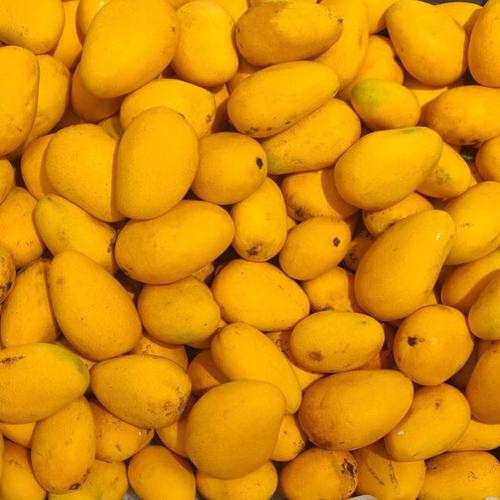 海南小台芒新鲜小台农芒果10斤甜小芒果3斤当季水果鸡蛋芒果