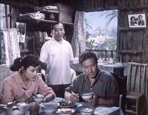 电影《海外赤子》剧照欣赏,珠江电影制片厂1979年摄制