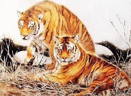 2016年属虎水瓶座运势