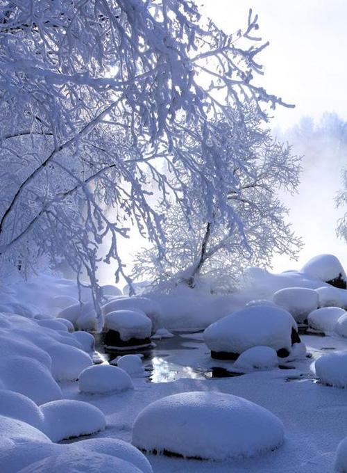 星月冬之韵冬之恋组诗