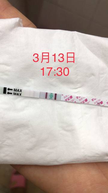 白带拉丝,今天发现一坨的白色分泌物,卵泡缩小了,是排