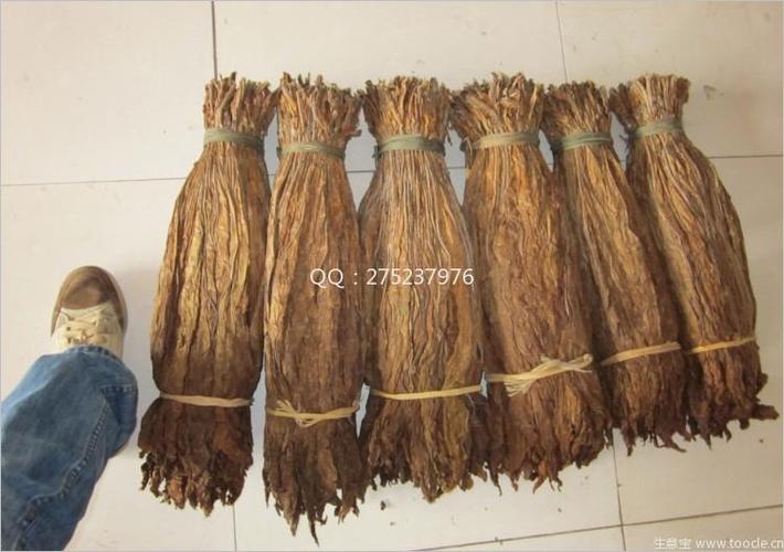 四川什邡叶子烟,土烟旱烟晒烟,天然纯绿色