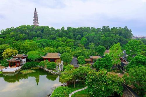 顺峰山公园又一景点"新装"亮相!美翻了!