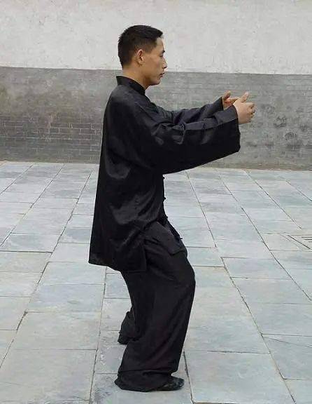 桩功三步功法解密,真传一句话,一