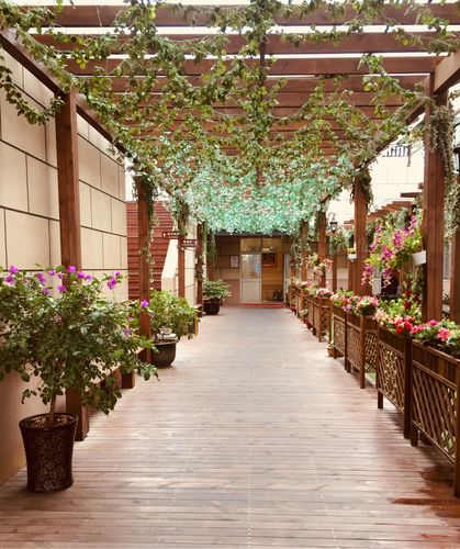 花园走廊!有丛深感体验!