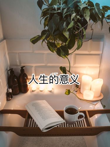 人生的意义:做人难道开心就好了?95_艺术_人生感悟