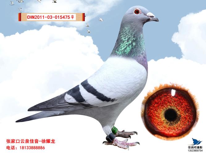 凡龙