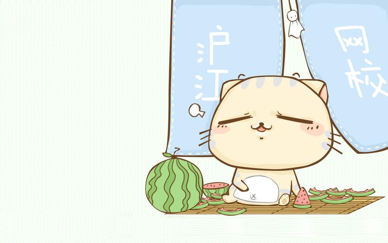 cc猫,萌宠,沪江网校,动漫卡通,卡通明星沪江动漫萌宠cc猫 壁纸图片