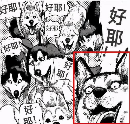 如今风靡b站的名梗好耶火于电锯人但周星驰才是专家