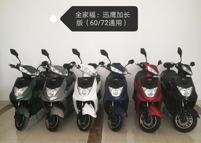 帝豹电动车:全家福