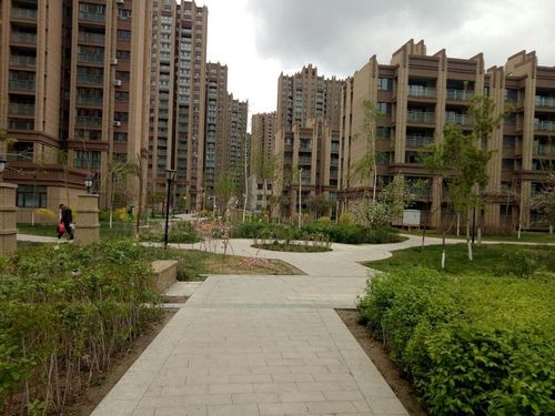 昌吉市                                    