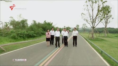 广东省省委书记李希考察信宜锦江画廊碧道