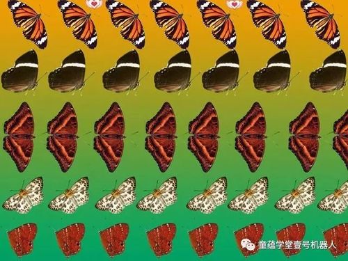 如何看三维立体图训练你的右脑