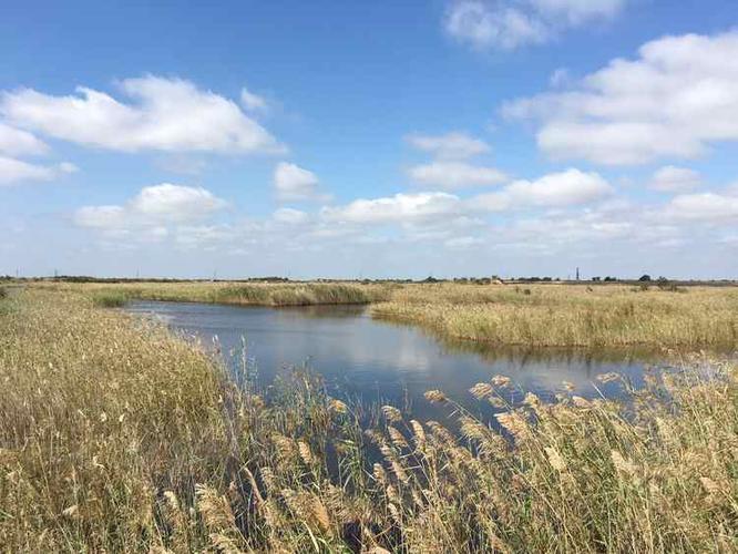 山东东营旅游景点