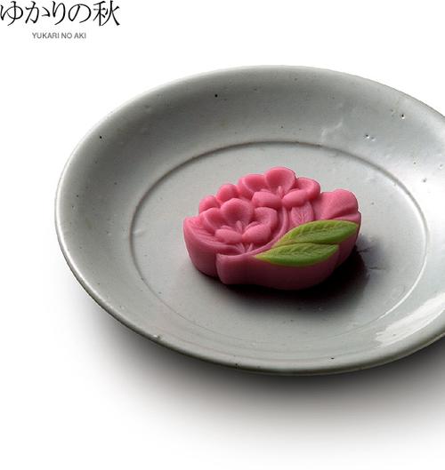 b162#虎屋季节限定 日本最古老的和果子铺虎屋,据京都妙心寺存世的