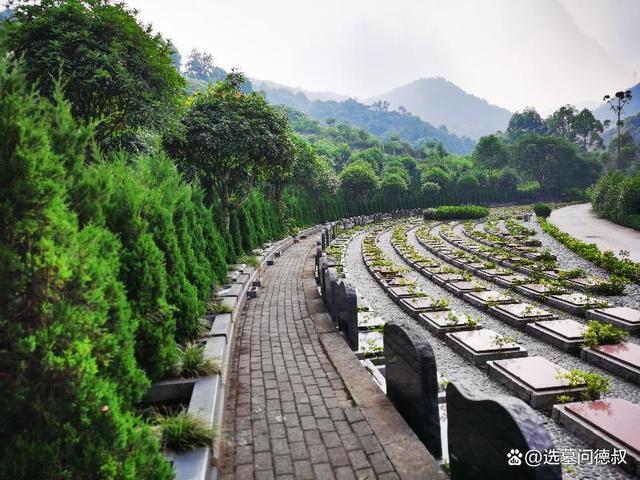 重庆九龙坡含谷龙台山陵园龙台山公墓园区实景图