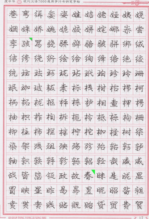 庞中华现代汉语7000通用字行书钢笔字帖(中)