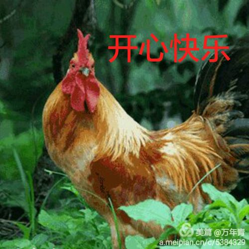你早上好!用歌声拌随你及家人开心快乐每一天!