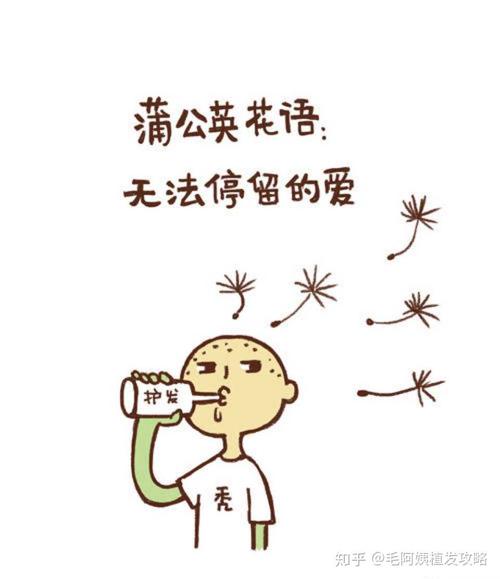 蒲公英年轻时候是小黄花,老了才脱发的.哪像你们,年纪轻轻就秃了!