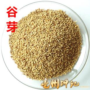 中药材谷芽 生谷芽 500克 小米芽 消食和中 健脾开胃 中药 抓药