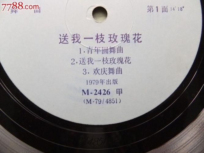 舞曲:送我一支玫瑰花