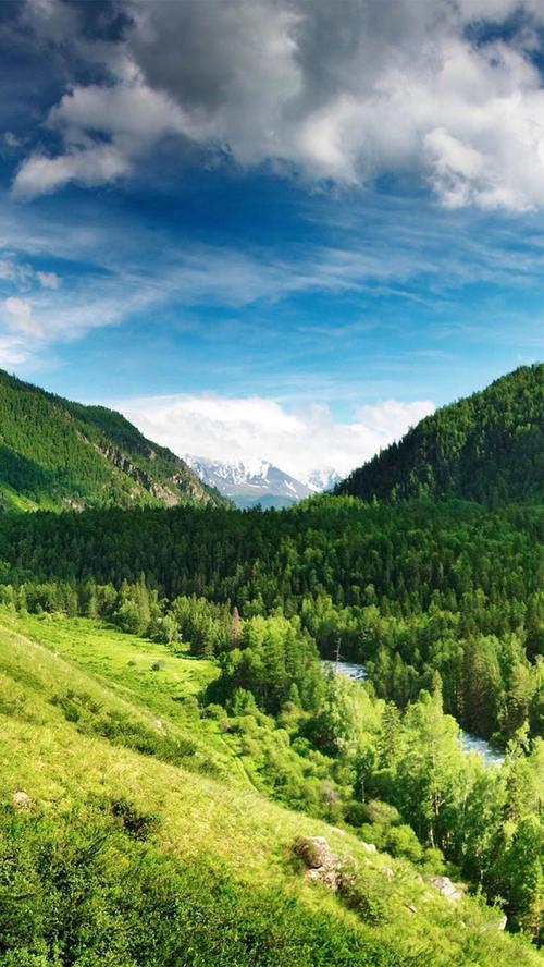 背景搜索 > 大山下面的森林h5素材  100 [声明] 觅元素所有素材为用户