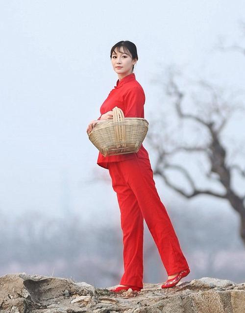 关中婆姨