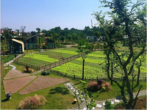 浙江湖州双林镇领导考察途远共享农庄,加快南浔乡村振兴项目落地