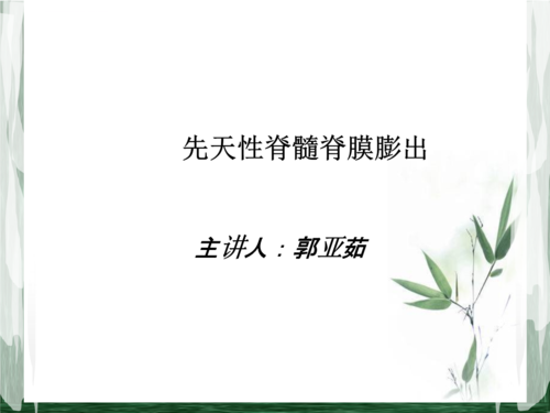 先天性脊髓脊膜膨出基础医学医药卫生专业资料ppt课件.ppt