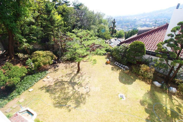 首尔城北洞单独住宅全税