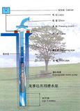 深井泵安装示意