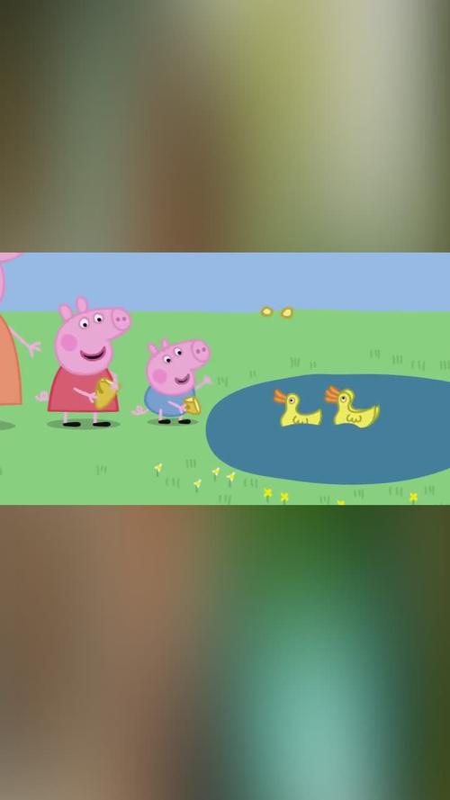 小猪佩奇佩奇一家来玩做的第一件事就是给小鸭子喂食