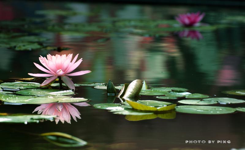 萍水相逢的摄影博客