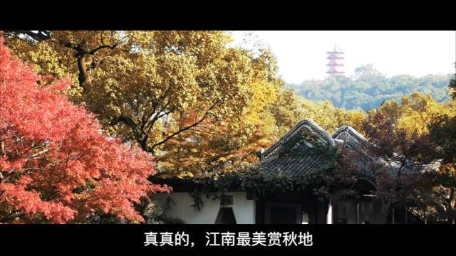 江南最美赏秋地,给你推荐无锡惠山古镇#惠山古镇江南醉美赏秋地##秋季