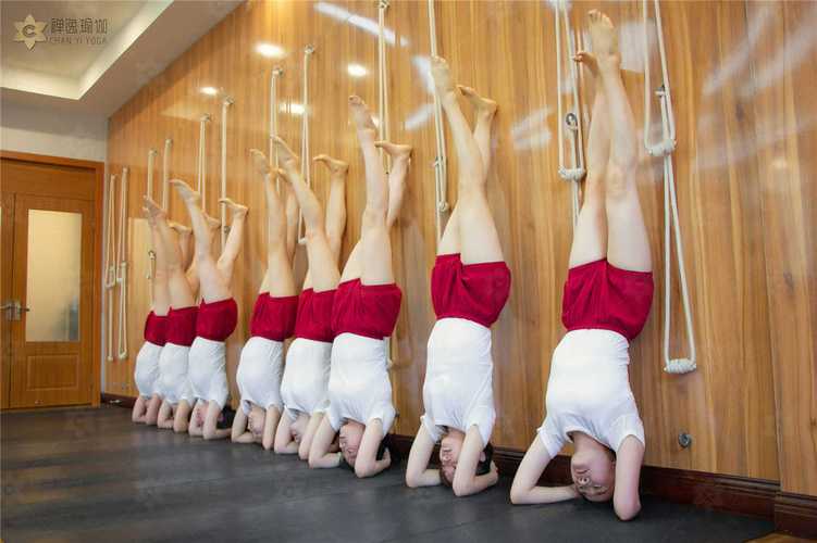 零基础学瑜伽禅逸瑜伽专业教学注重每一步