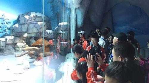让爱飞扬 构筑梦想 特殊儿童参观童梦乐园
