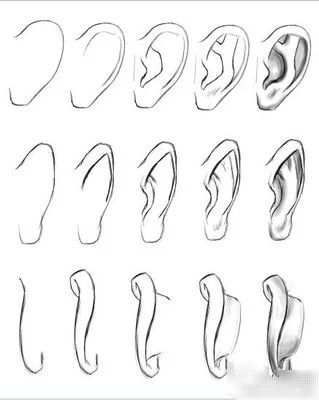 简笔画耳朵的画法6